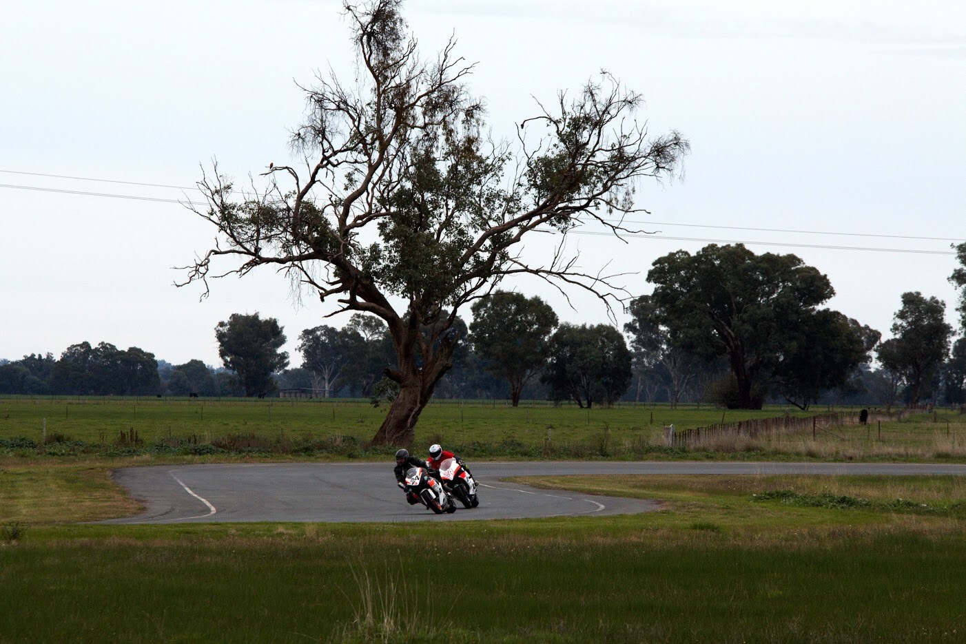Murray Valley Training Co, near Albury, Victoria.