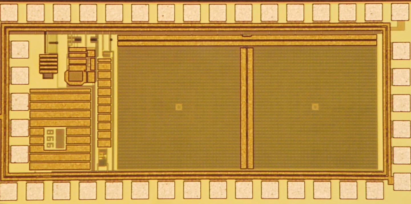 The PFCA is a pinhead-sized lens-free camera, that could prove very useful in scientific research and electronics (Photo: Patrick Gill)