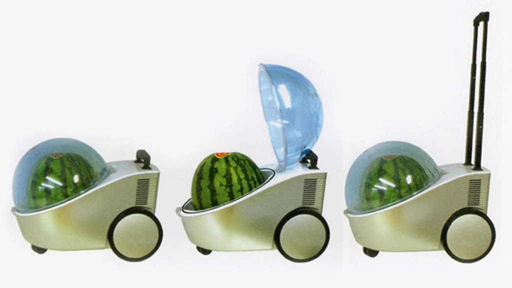 The Marugoto Tamachan portable watermelon cooler - and warmer