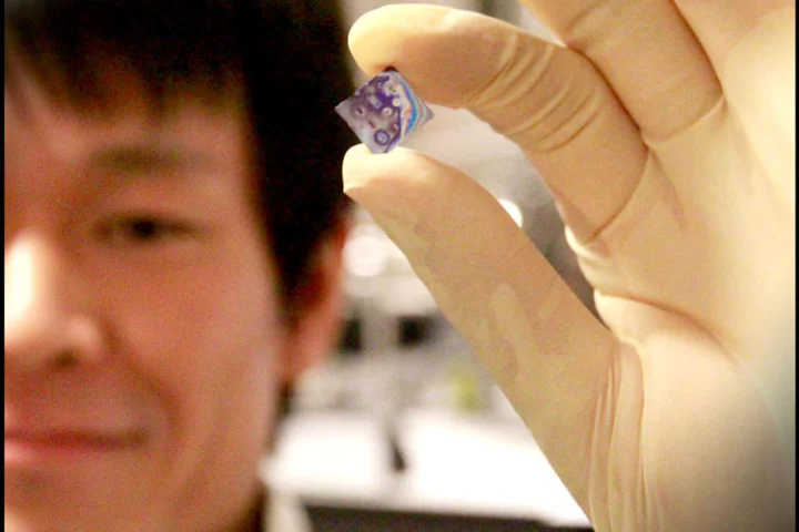 Koji Usami holding the semiconductor nanomembrane inside its holder
