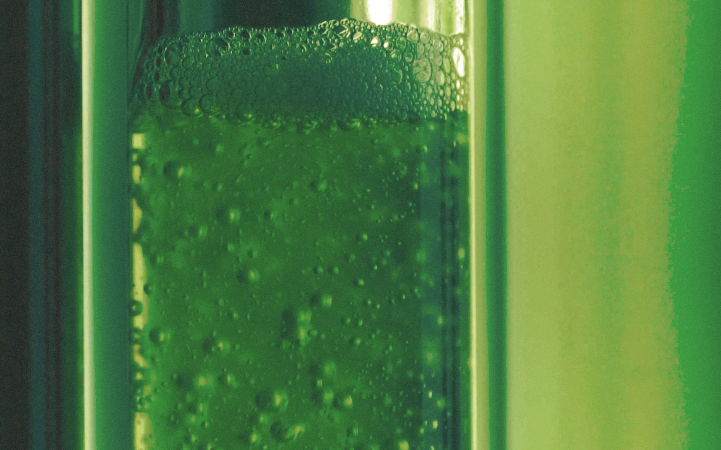 The algae inside the Eos Bioreactor lives inside a tube system and water tank within the device, which is pumped full of air and exposed to artificial light