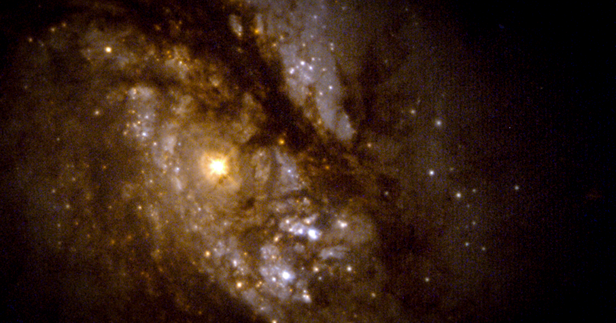 AI reconstructs a galaxy's entire life story from one snapshot