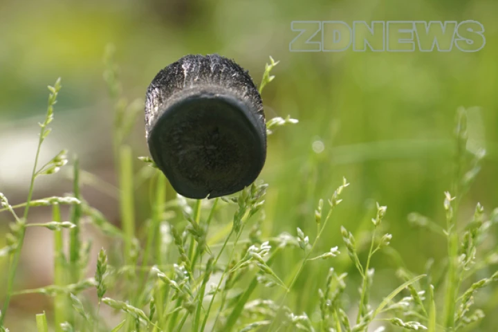 The graphene aerogel can be supported by blades of grass