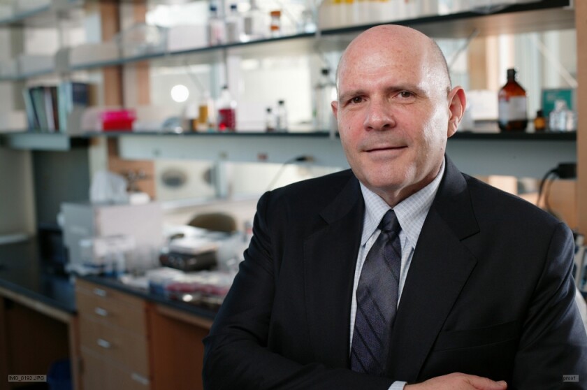 Materials scientist Samuel I. Stupp
