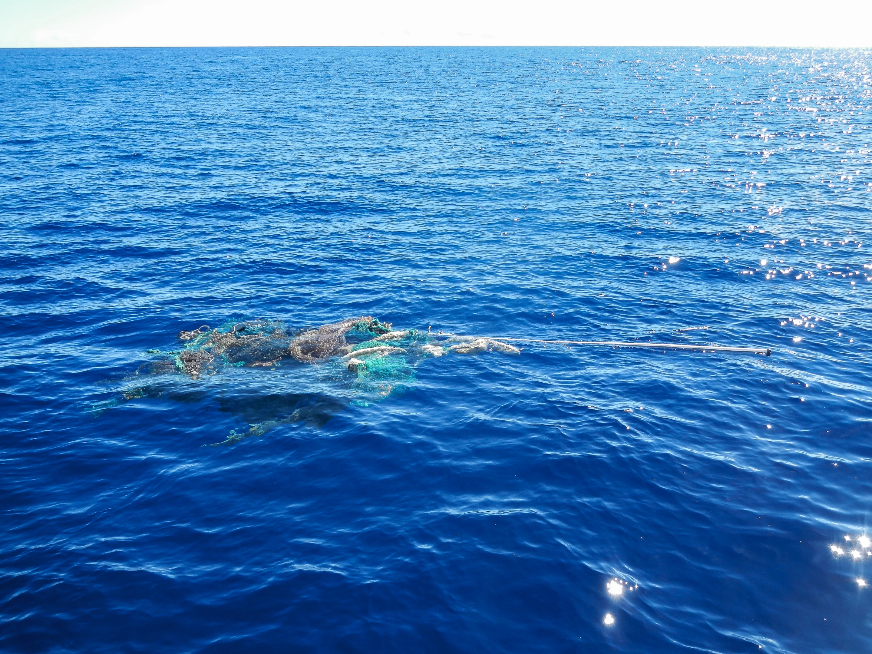 Plastic samples from a new survey of the Great Pacific Garbage Patch