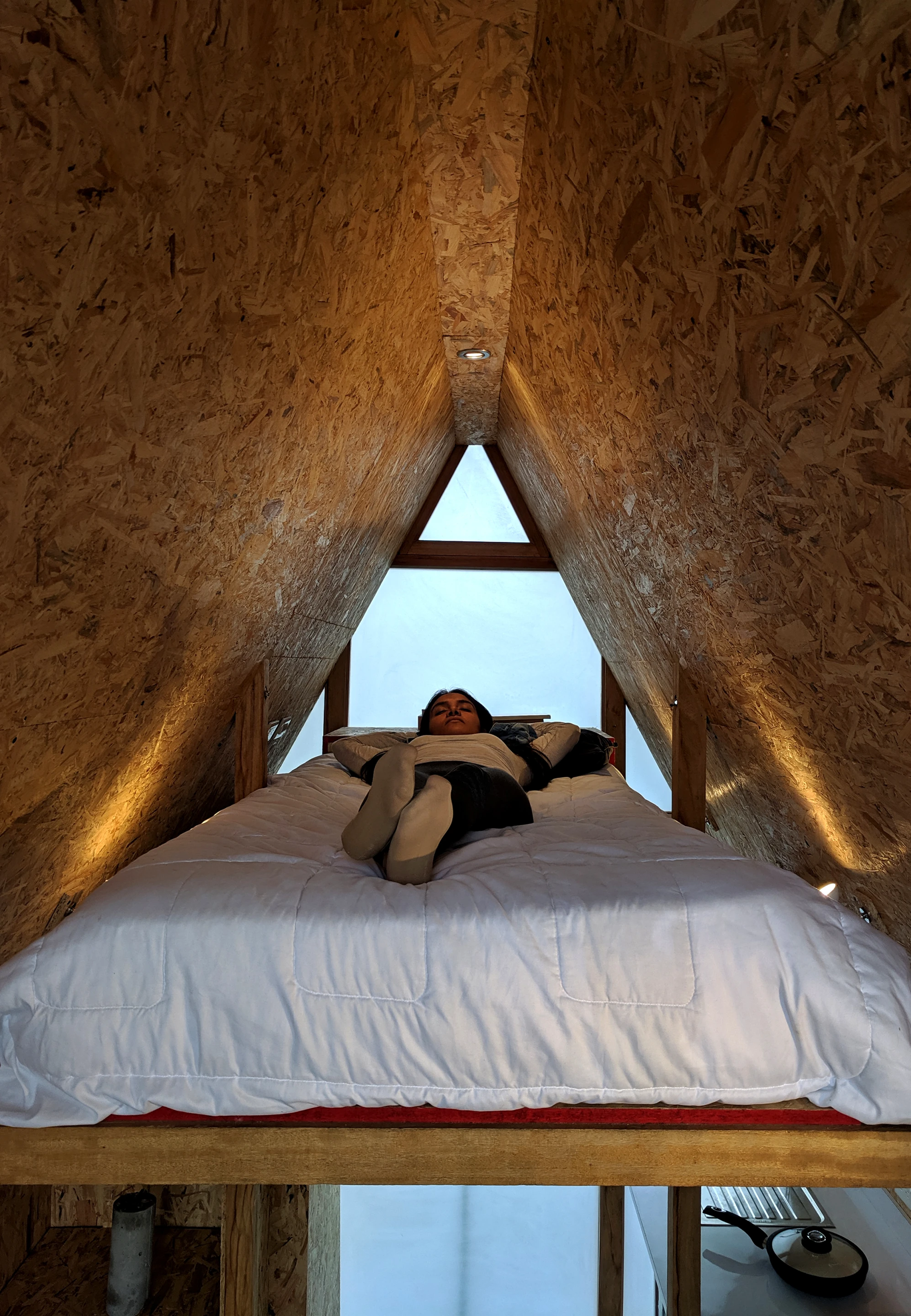 Casa Parásito is finished in OSB panels on the walls and floor