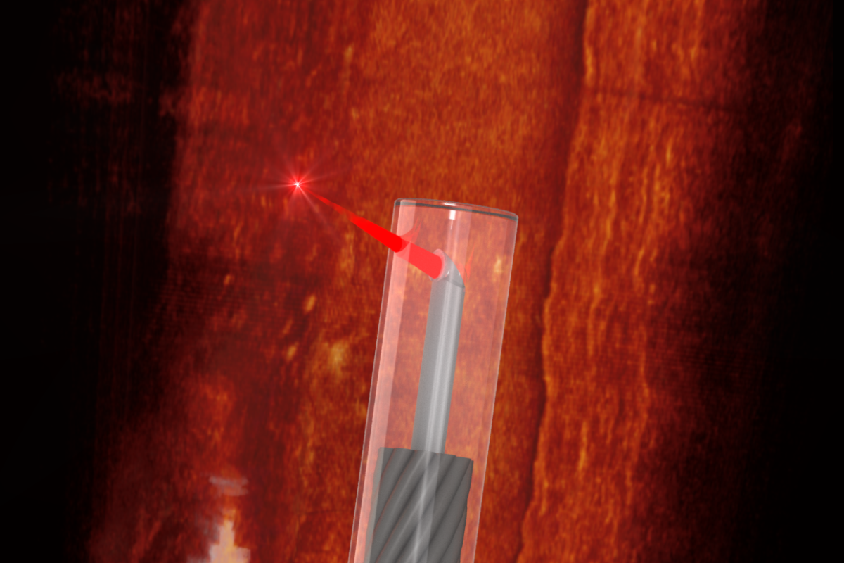 The thickness of a human hair, this optical probe has a tiny lens 3D printed into its side, allowing unprecedented 3D scanning access through blood vessels and other hard-to-reach places in the body