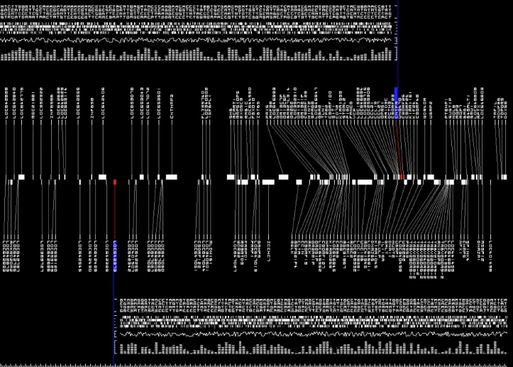 Ryoji Ikeda :: datamatics [prototype-ver.2.0]