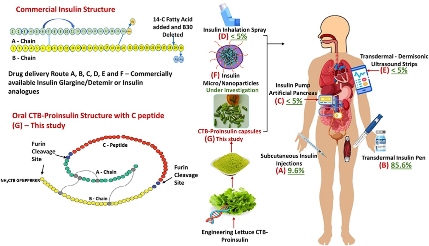 Plantbased insulin derived from lettuce, can be taken orally