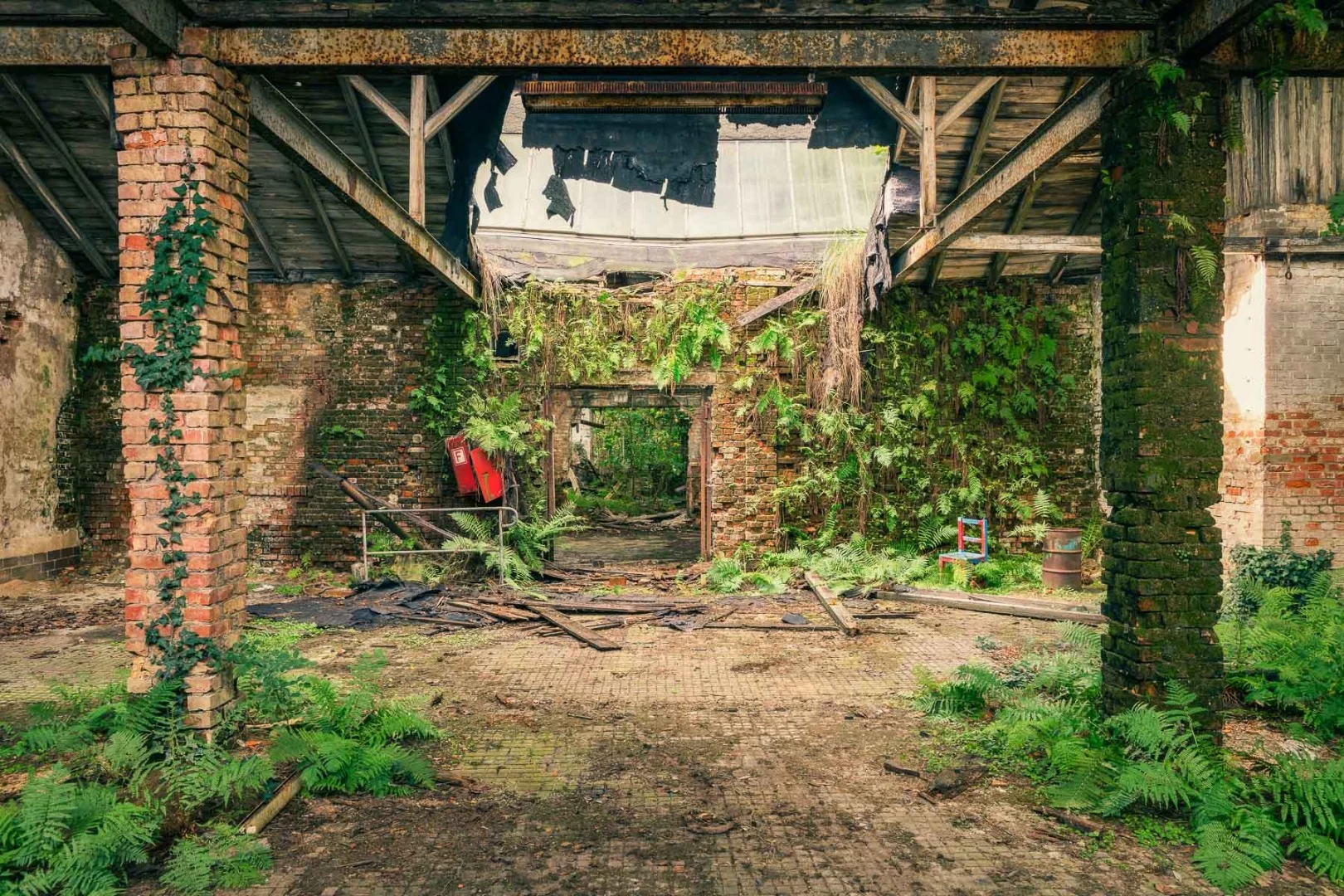 Moss and ferns have taken over this former dye factory
