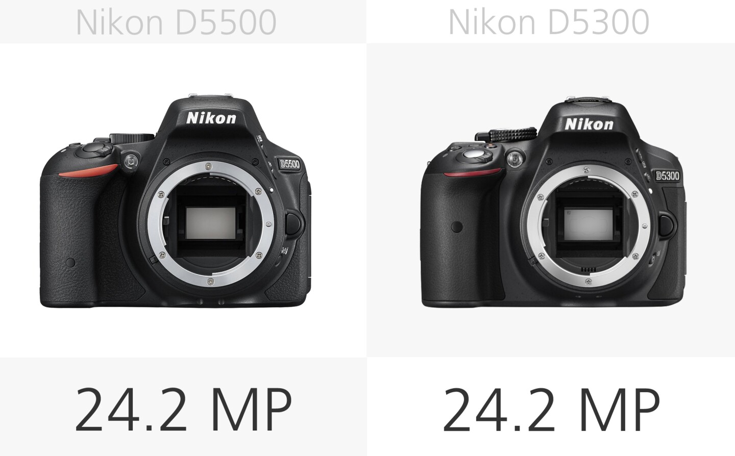 Nikon D5500 vs. Nikon D5300 megapixel comparison