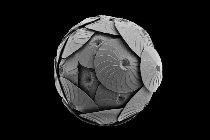 "Ocean Warriors" – Luke Brokensha