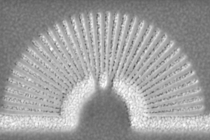 Scientists at the University of Buffalo have created a prototype visible light "hyperlens" that may help image objects that were once only clearly viewable through electron microscopes