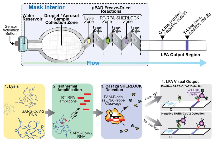 Three different sensor "zones" are activated by the release of water