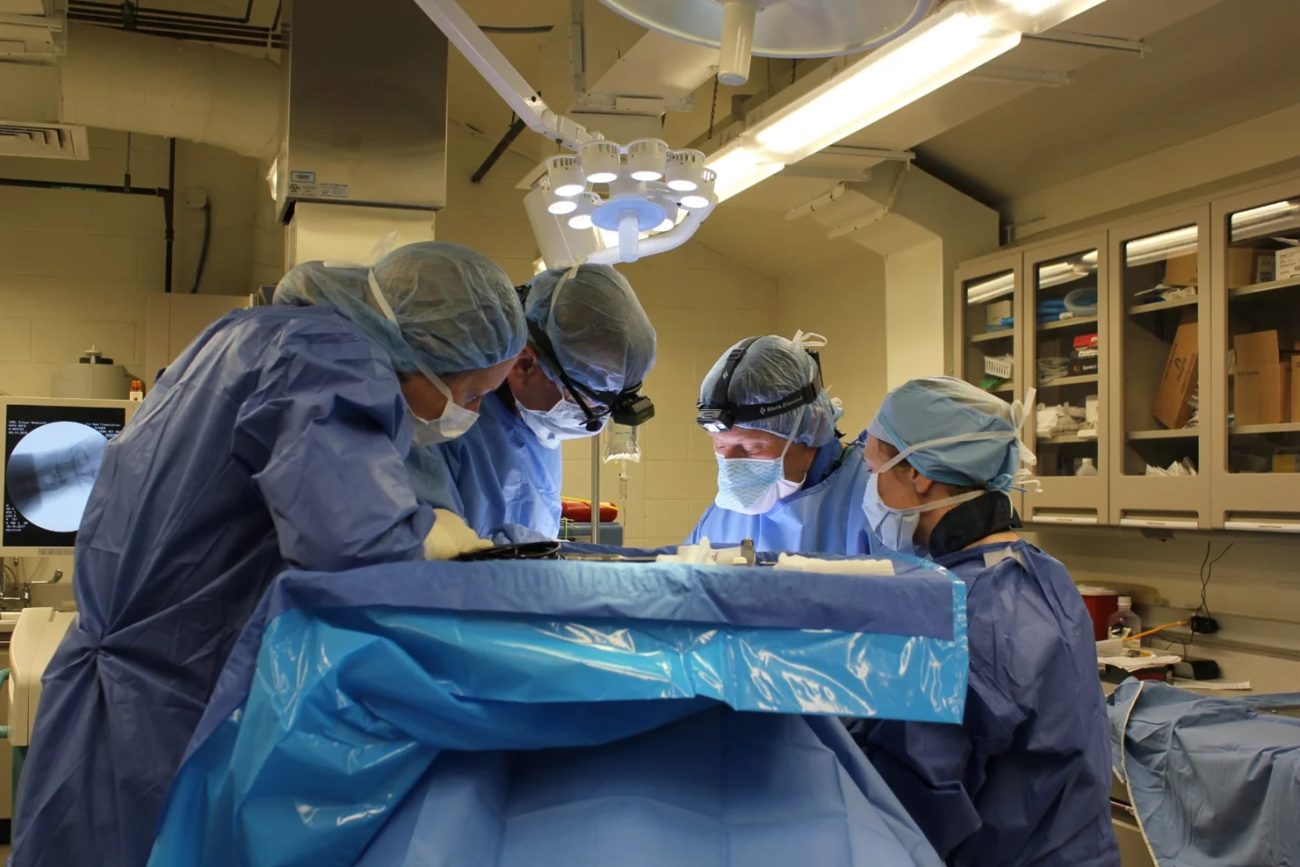 The eDAP is implanted in a goat's cervical spine