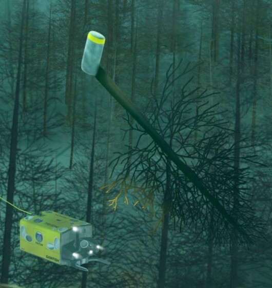 Innovative machines invade the forest the Sawfish Underwater Harvester