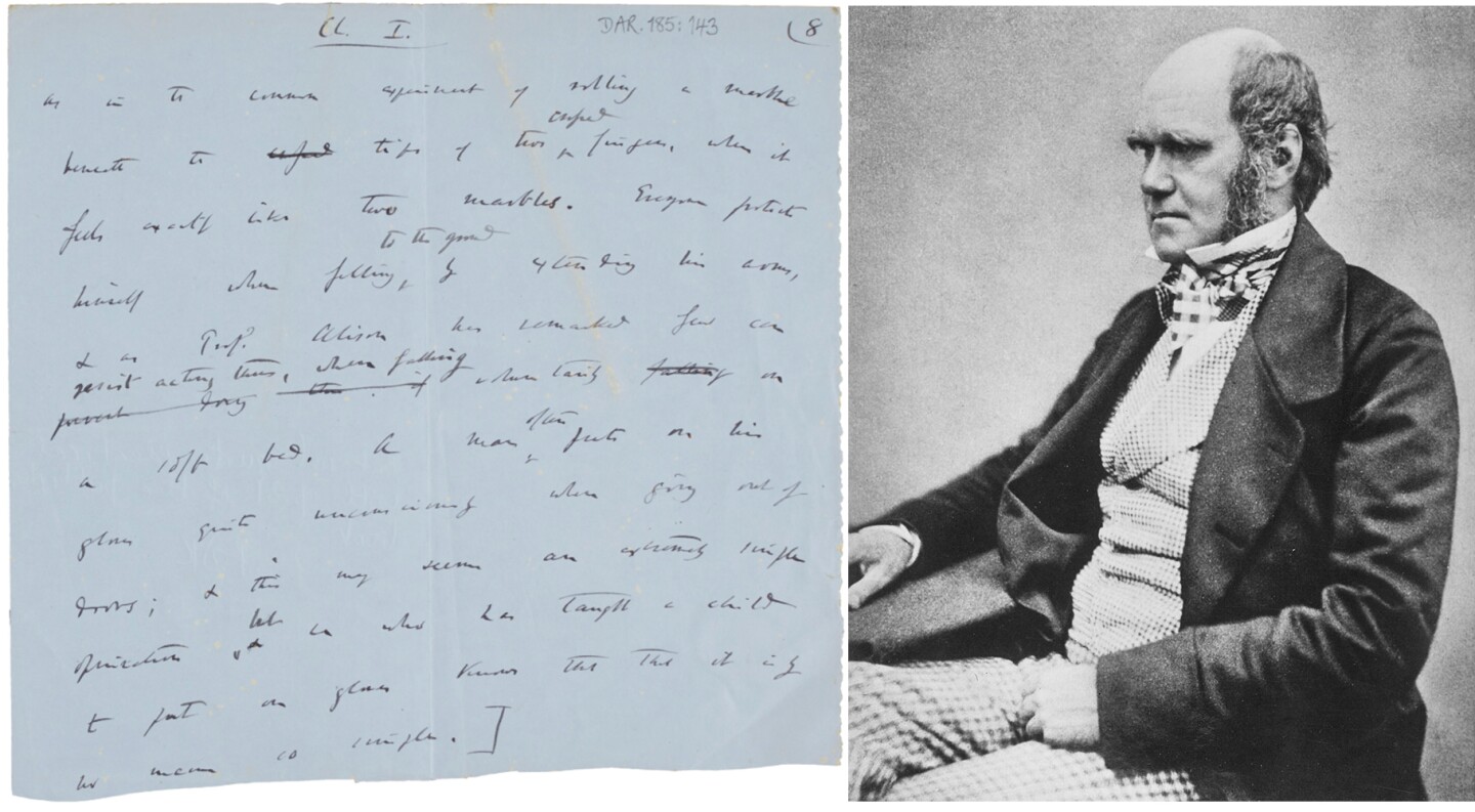 $268,084 | Autograph manuscript leaf from 'The Expression of emotions of man and animals' by Charles Darwin | Auction House: Sotheby's | Sale price: £200,000 | Official Estimate: £40,000 to £60,000 | Date of sale: July 10, 2018