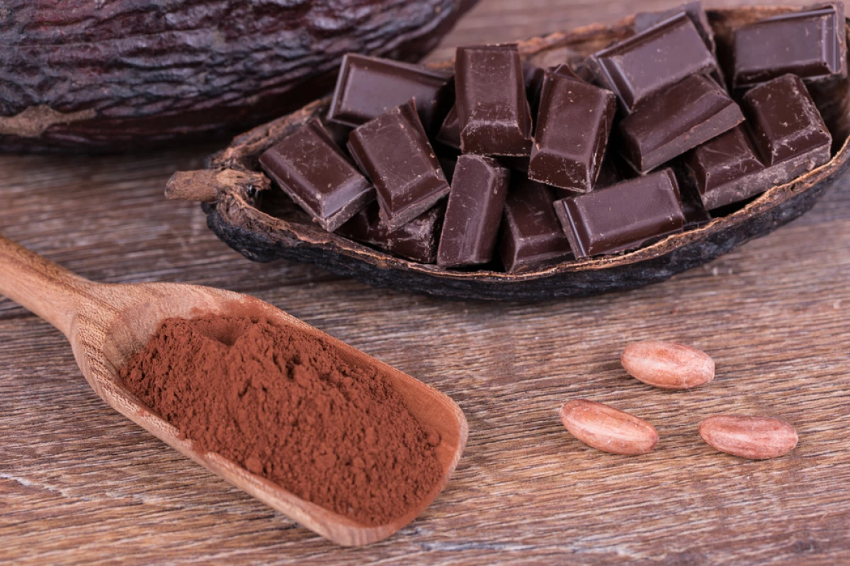 Cocoa flavanols, naturally occurring compounds in cocoa, can reverse age-related memory decline in healthy older adults (Photo: Shutterstock)