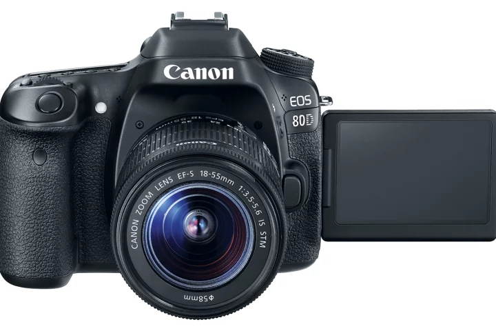 The Canon EOS 80D features improved autofocus whether shooting stills or video