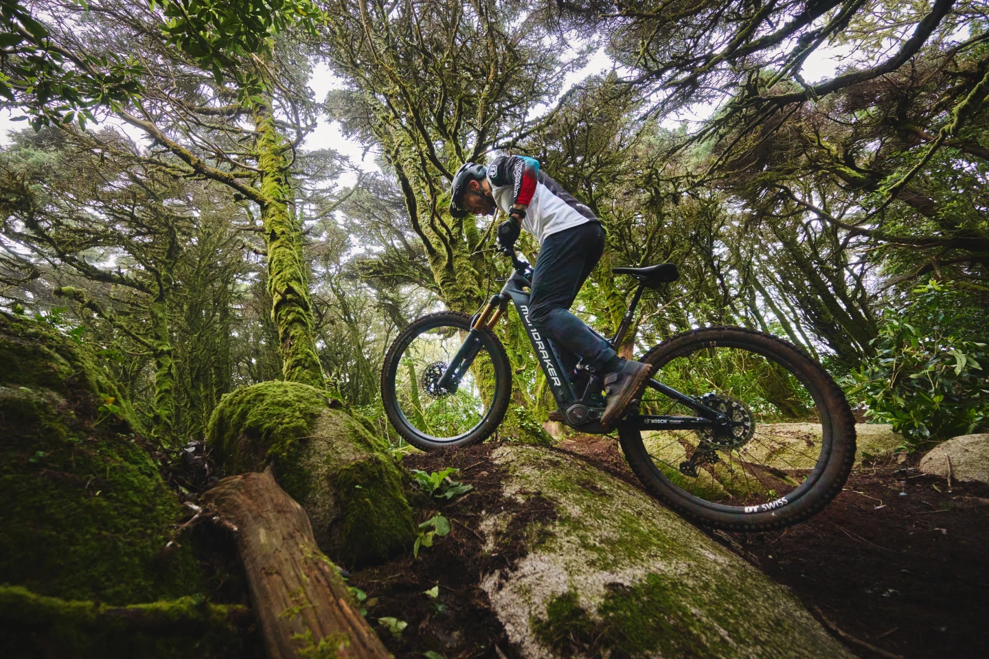 The more powerful CX-R motor and its higher output modes help overcome difficult obstacles like a steep, slick boulder covered in moss