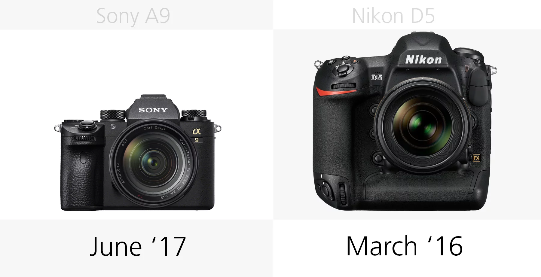 The release dates of the Sony A9 and Nikon D5 compared