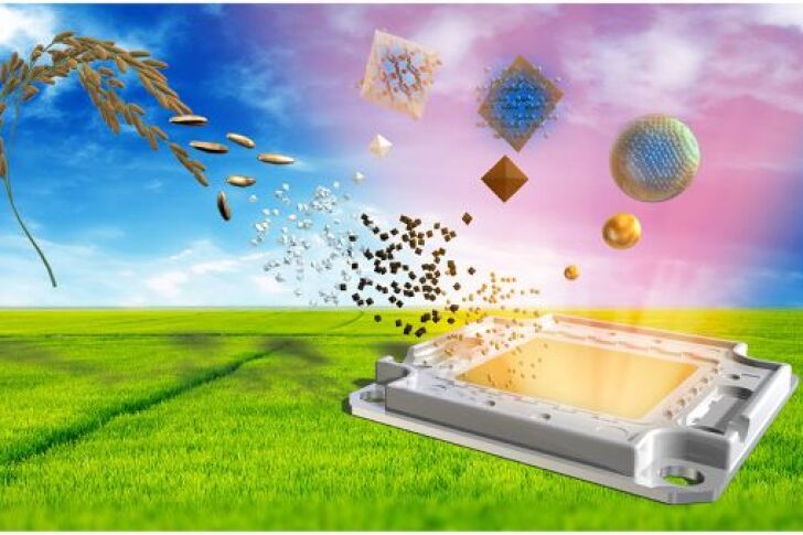 Scientists have tapped into rice husk waste to produce an environmentally friendly quantum dot LED