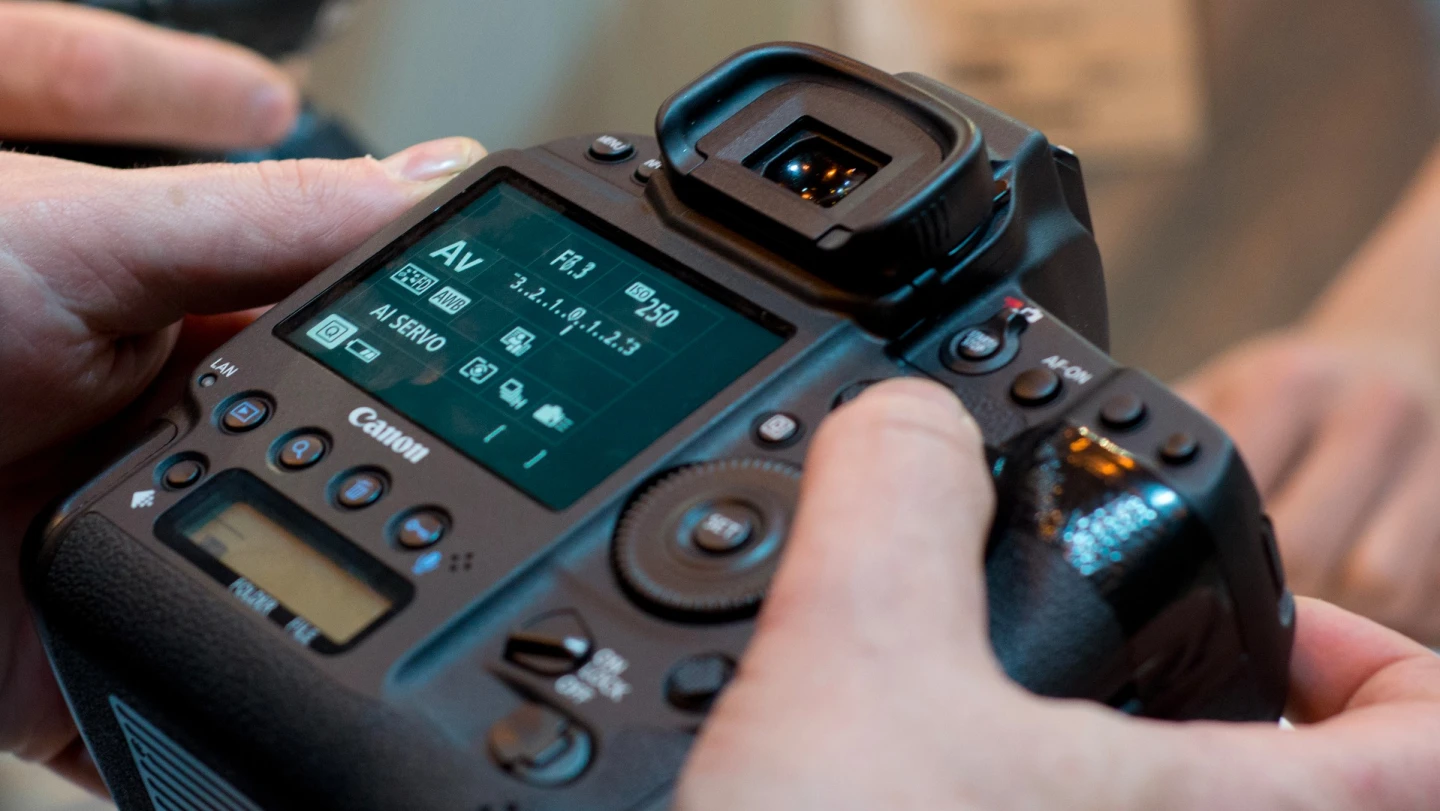Learning how to use ISO settings means you can take control of your photographs
