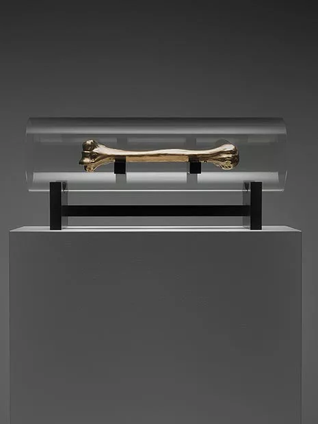 A gold casting of Caspar Berger's humerus