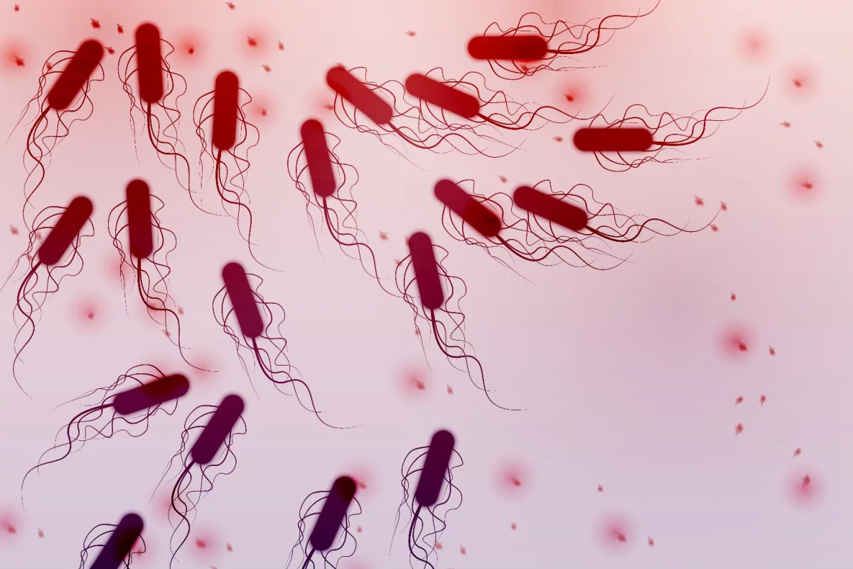E. coli bacteria don't have a good reputation but thanks to a team of researchers from Israel, they might just be getting an image makeover
