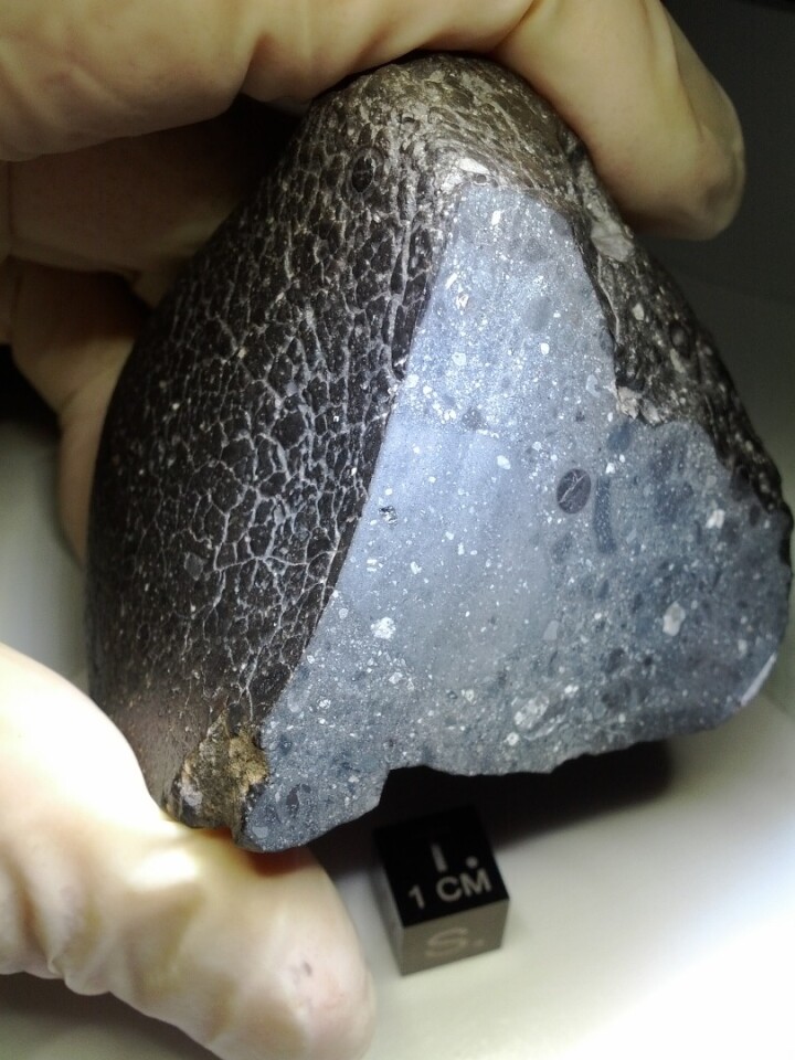 The Black Beauty Martian meteorite