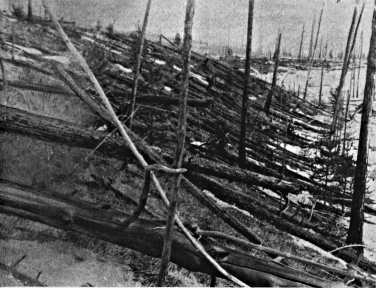 Image of the aftermath of the Tunguska event