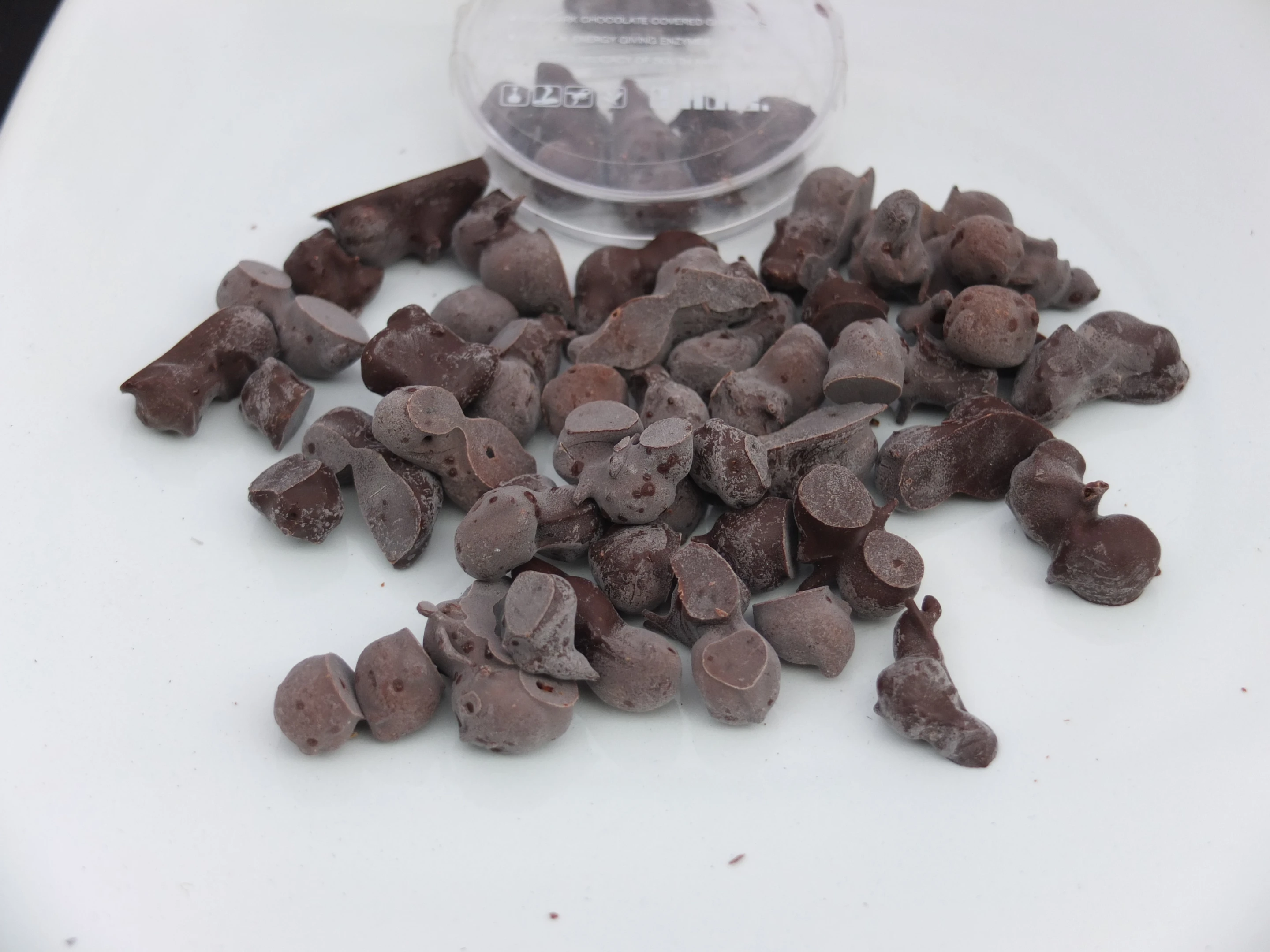 The chocolate-covered ants were perhaps the tastiest thing on the day (Photo: Gizmag)