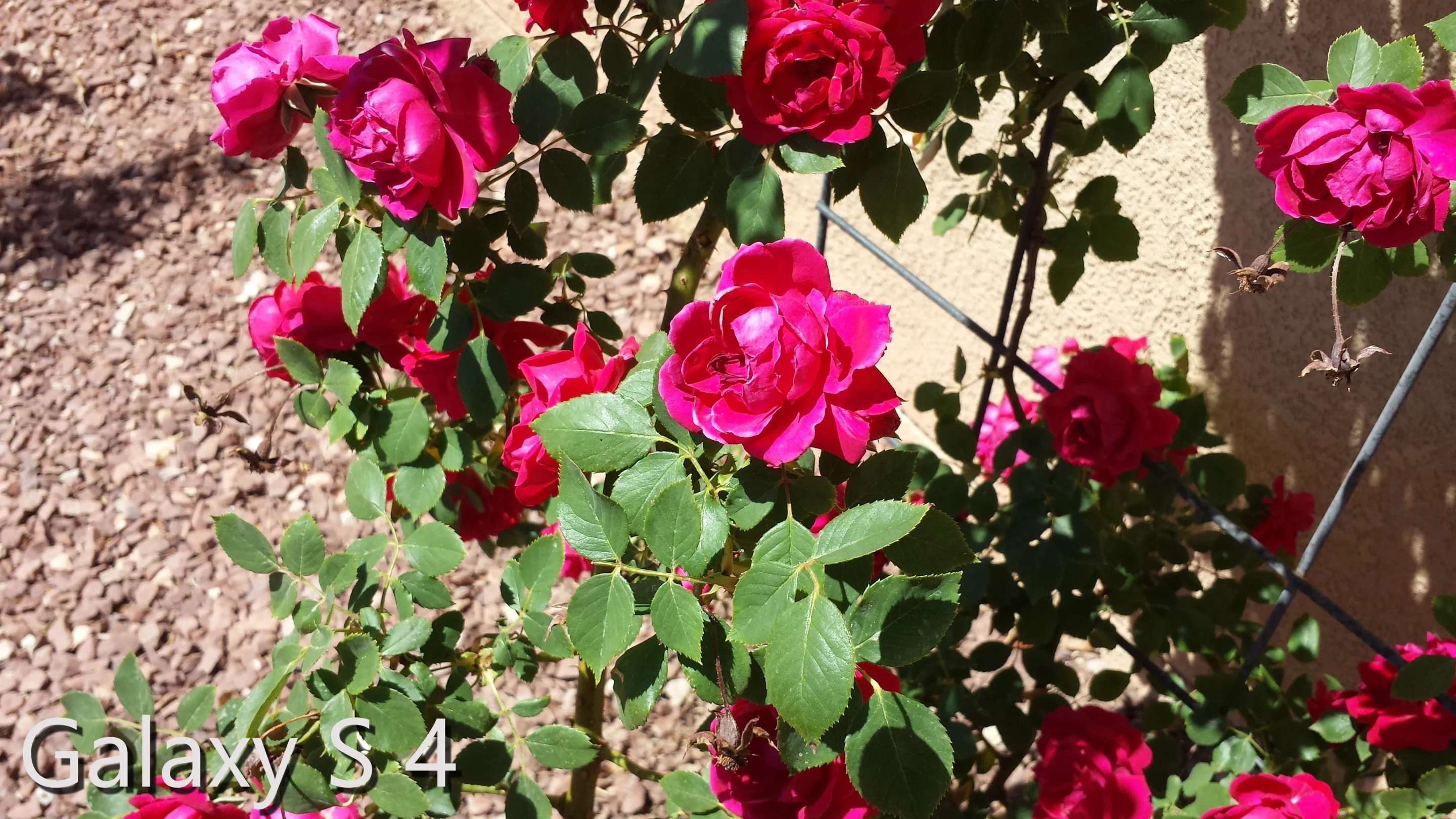 Well-lit outdoor shot taken with the GS4