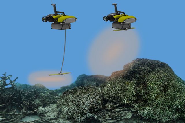 Image of the LarvalBots at work