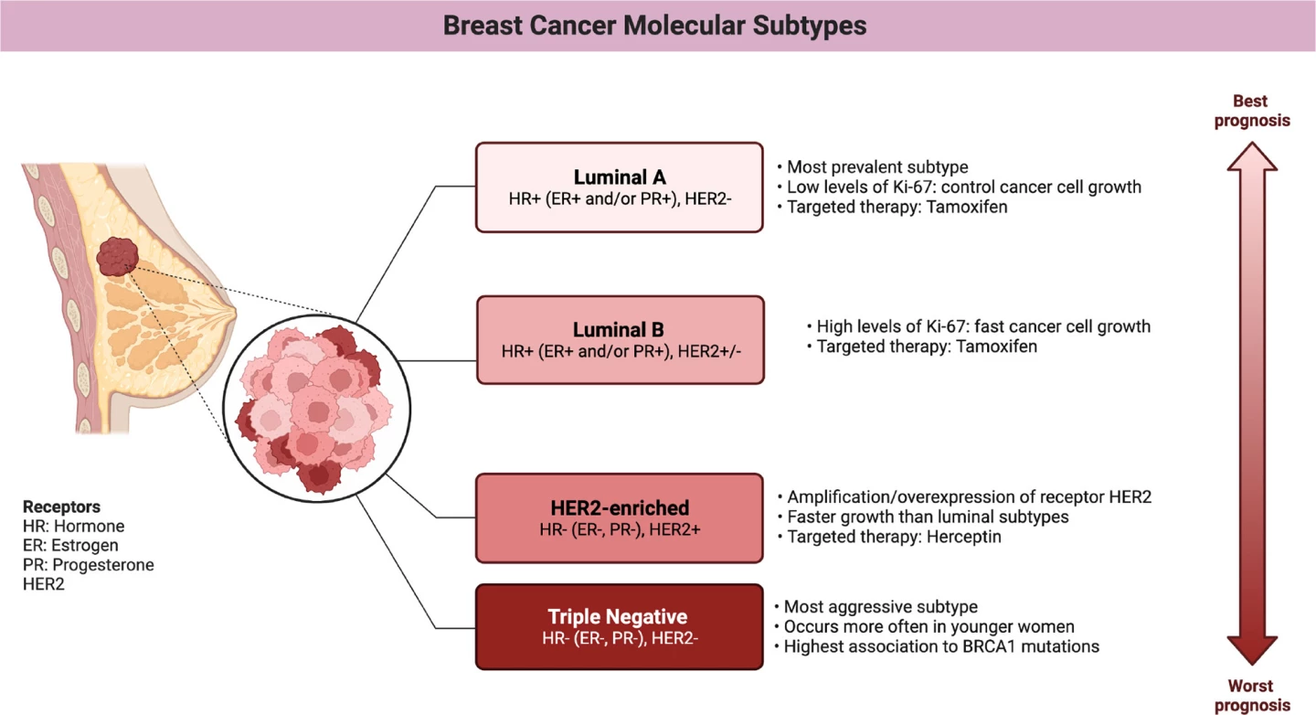 Subtypes of breast cancer, from best to worst prognosis