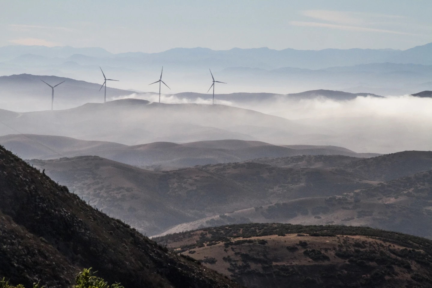 The Camanchaca presents a unique opportunity for those suffering drought in Chile's north