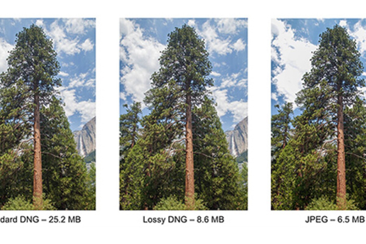Adobe expands DNG spec with lossy compression … and why it matters to you