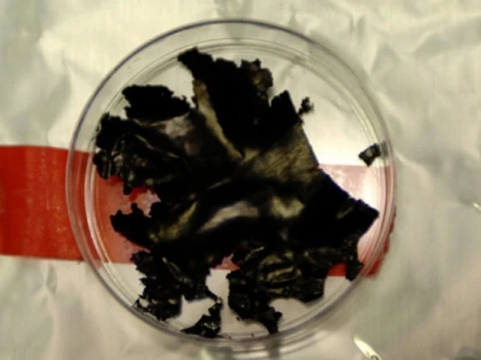 It may not look like much, but this new battery material could enable EVs to charge in 5 minutes(Photo: Donna Coveney via MIT)