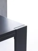 IvyDesign's Picture Table transforms from an ordinary dining table to a frame for your favorite piece of art
