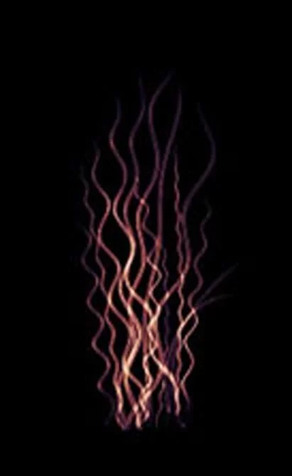 An image created by a user on the BODYSHELF