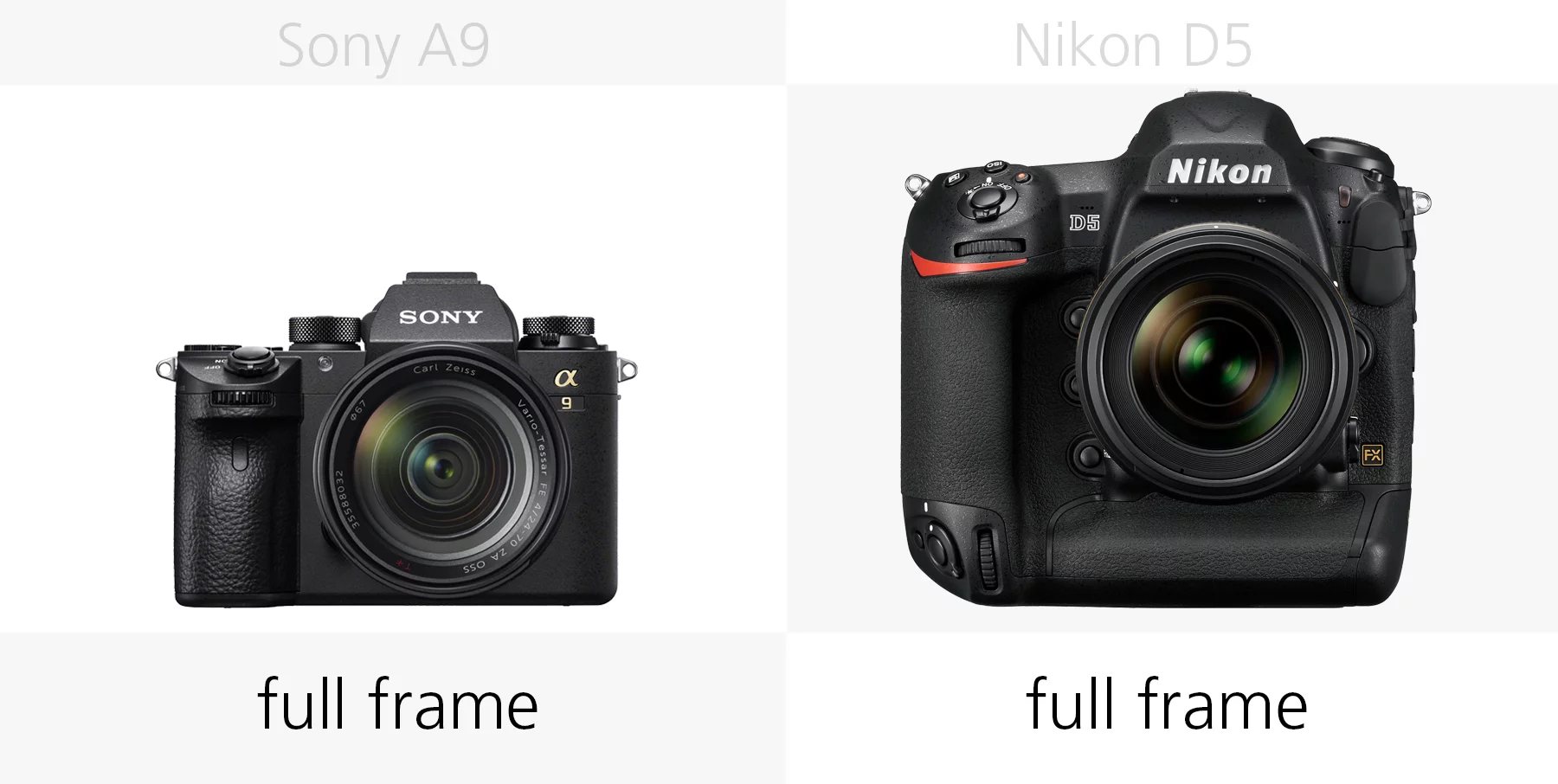 The sensor size of the Sony A9 and Nikon D5 compared