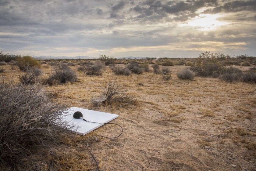 CarpetDIEM array