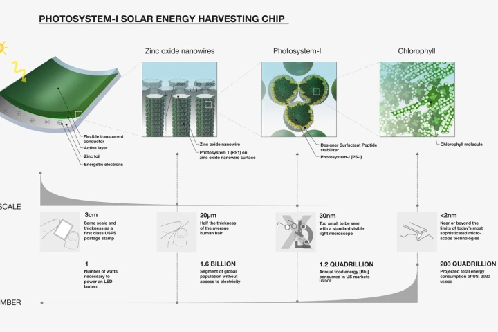 Schematic of MIT's Photosystem-I solar energy harvesting chip