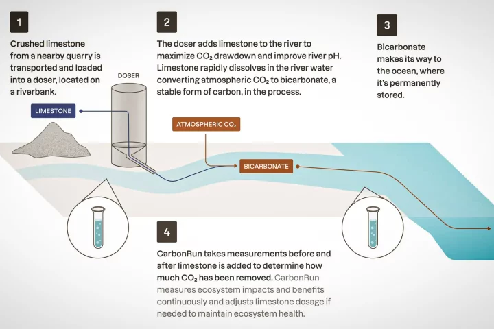 A proven process: limestone dosing has already been used to restore river ecosystems damaged by acidifcation – but it could be an extremely powerful carbon capture tool as well