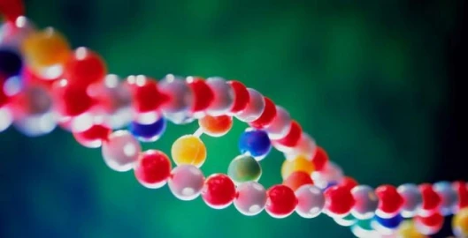 DNA Molecule. Credit: Courtesy, IBM