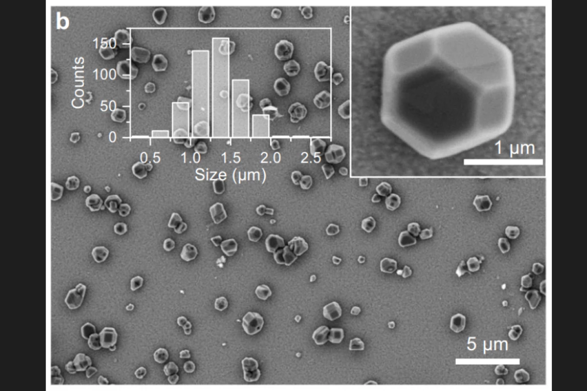 A microscope image of the uniquely shaped and sized – and uniquely scattered – diamond microparticles on one label