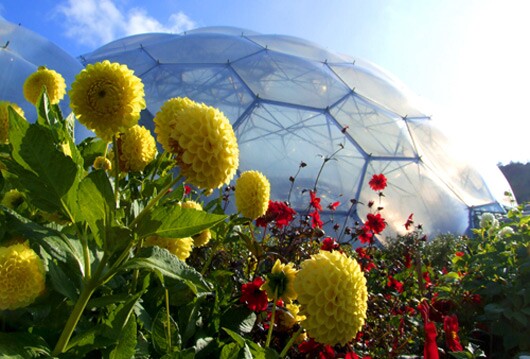 Eden Project in Spring(Image by Eden Project)