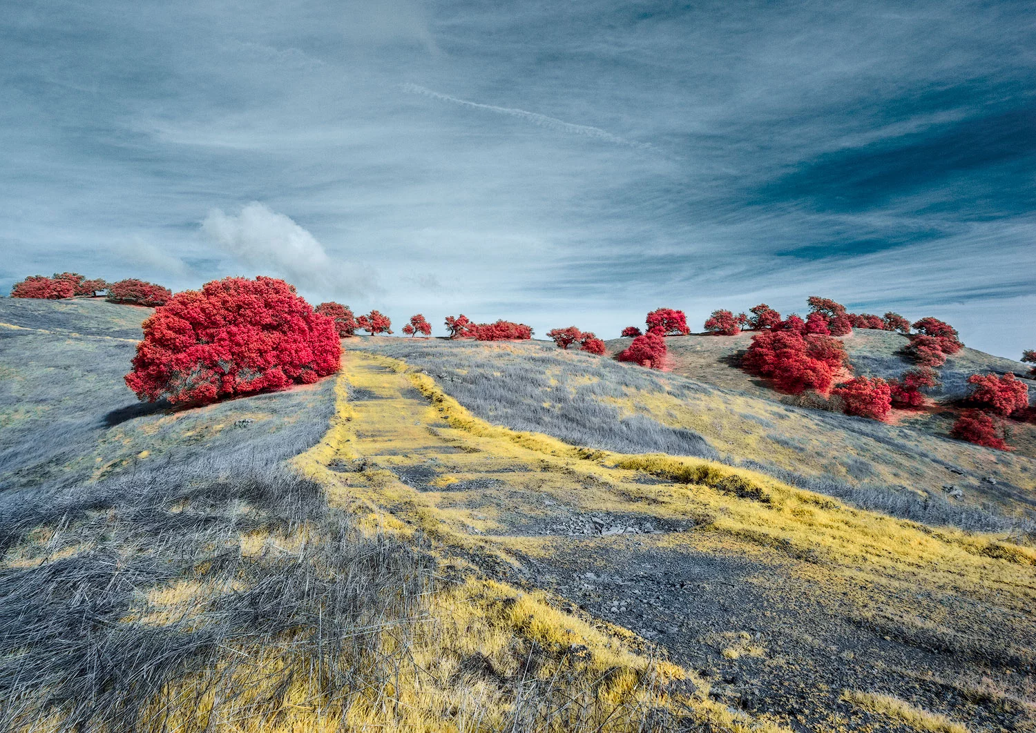 Honorable Mention in the Photo Essay category, a collection called California Foothills