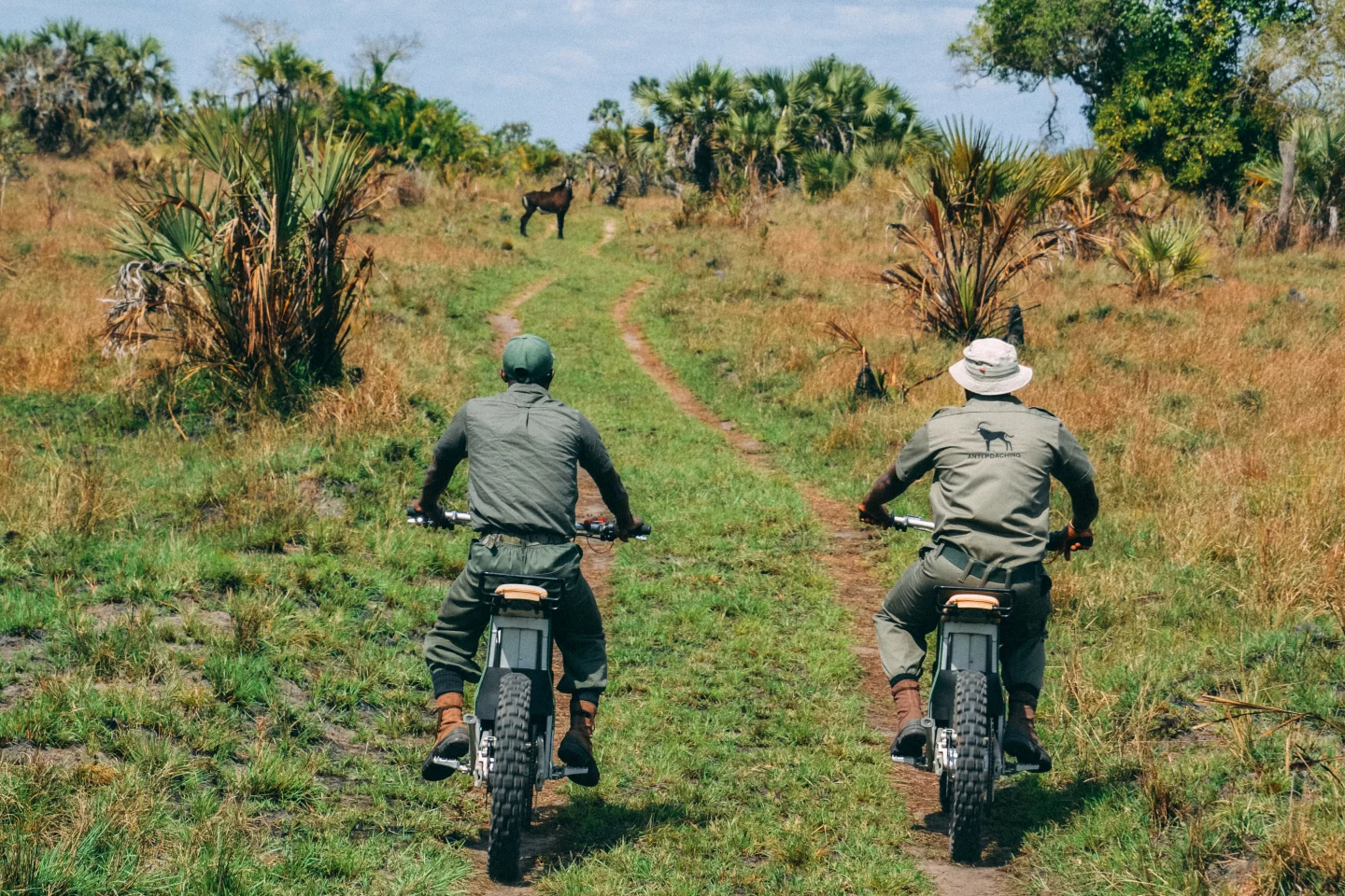 Where gas-powered bikes can be heard from far away, the Kalk AP e-motos allow rangers to go stealth