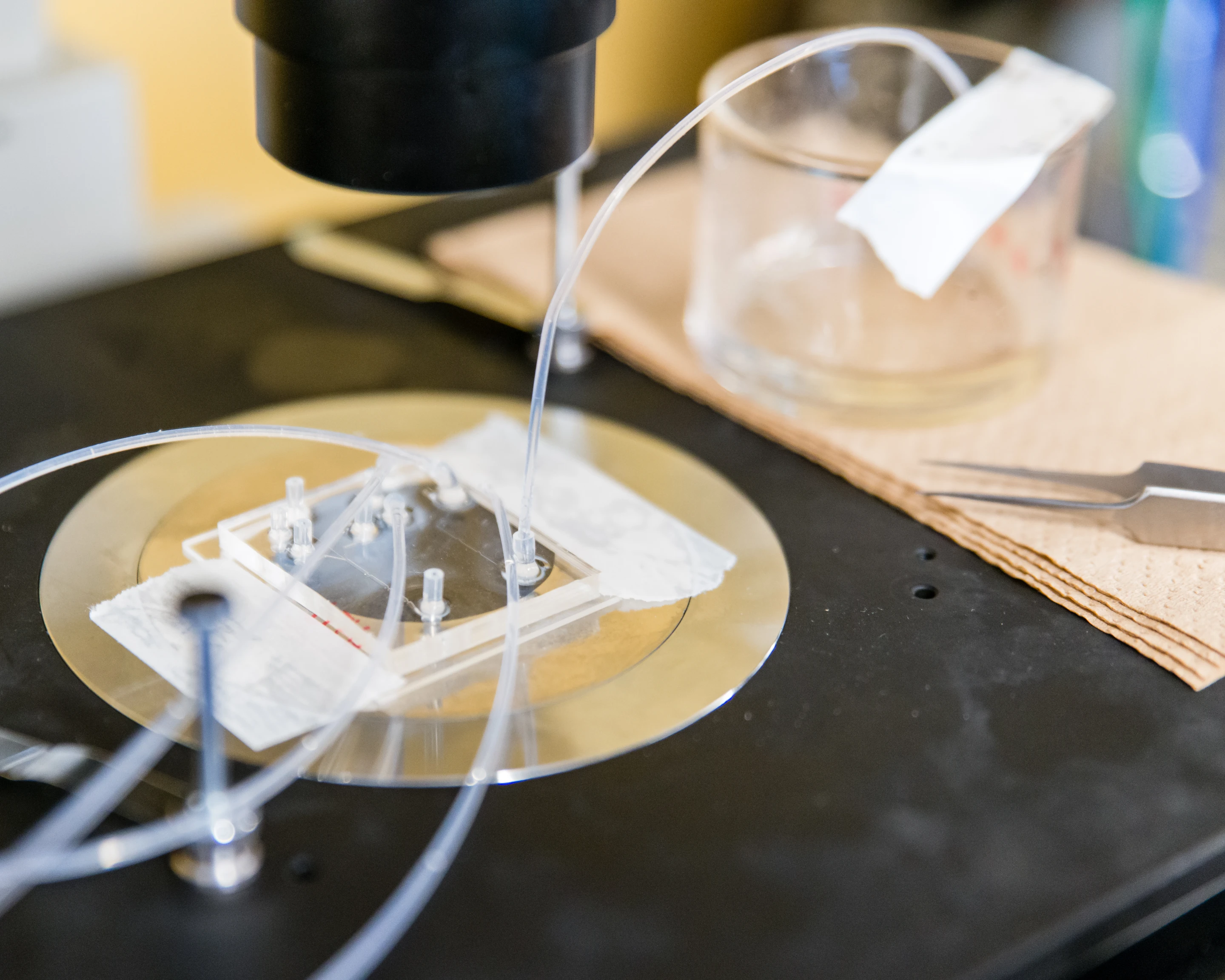The new pancreatic islet cryopreservation method could help type 1 diabetes patients be less dependent on insulin injections
